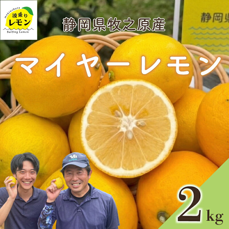 【国産 レモン】牧之原産 波乗りレモン マイヤーレモン 2kg 国産 Lemon 檸檬 柑橘類 柑橘 フルーツ 果物 酸っぱい 果肉 酸味 防腐剤不使用 自宅用 贈答品 レモンスカッシュ レモンパウ
