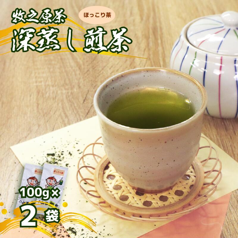 【2026年度産新茶】深蒸し煎茶 100 g × 2袋 のみま煎か ほっこり茶 深蒸し 茶 お茶 茶葉 水出し緑茶 水出し 静岡茶 緑茶 日本茶 飲料 飲み物 ドリンク セット 煎茶 旬 日常 牧之原