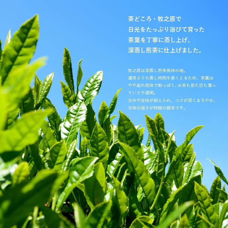 【2026年度産新茶】深蒸し煎茶 のみま煎か ほっこり茶 100 g × 4袋 深蒸し 茶 お茶 茶葉 水出し緑茶 水出し 静岡茶 日本茶 飲料 飲み物 ドリンク セット 煎茶 旬 日常 牧之原産 甘