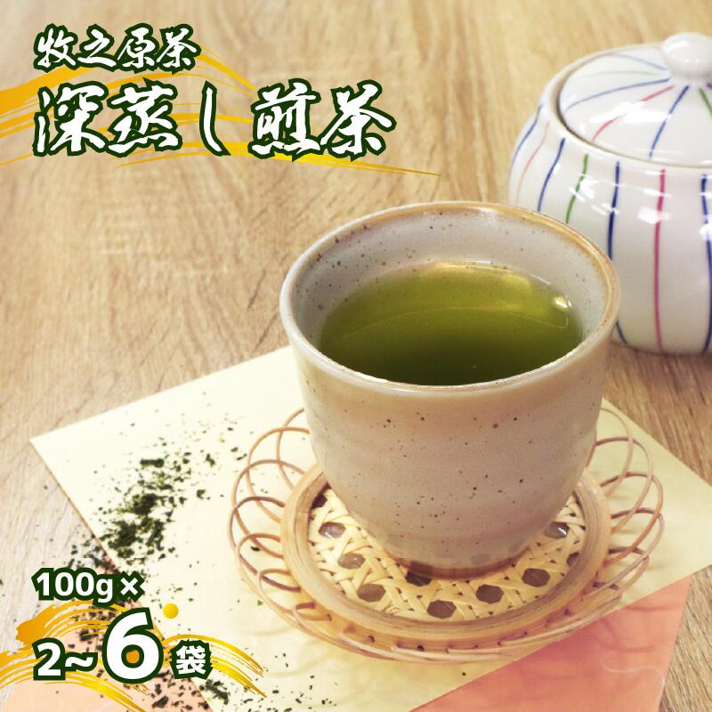 【2026年度産新茶】深蒸し煎茶 100 g × 3袋 深蒸し 茶 お茶 茶葉 水出し緑茶 水出し 静岡茶 緑茶 日本茶 飲料 飲み物 ドリンク セット 煎茶 旬 日常 牧之原産 甘い 渋み コク ま