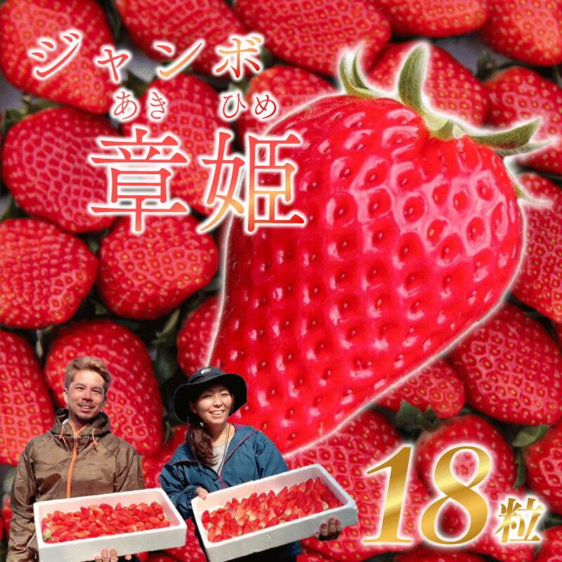 【先行予約 2026年 12月末 発送予定】 章姫 15 ～ 18 粒 ×2 パック 900g ジャンボ章姫 いちご フルーツ スイーツ デザート くだもの 果物 ストロベリー 甘い おいしい 大粒