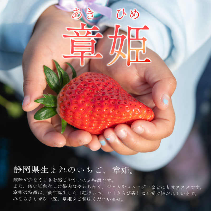 【先行予約 2026年 12月末 発送予定】 章姫 15 ～ 18 粒 ×2 パック 900g ジャンボ章姫 いちご フルーツ スイーツ デザート くだもの 果物 ストロベリー 甘い おいしい 大粒