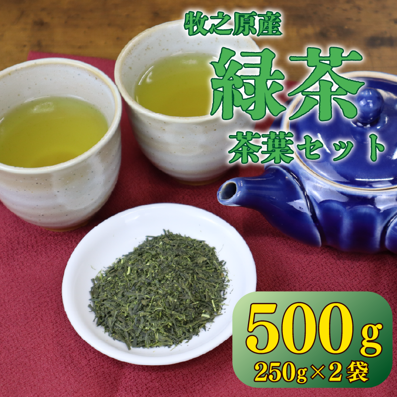 茶葉  500g ( 250g × 2袋 )  長谷川製茶 静岡県 牧之原市