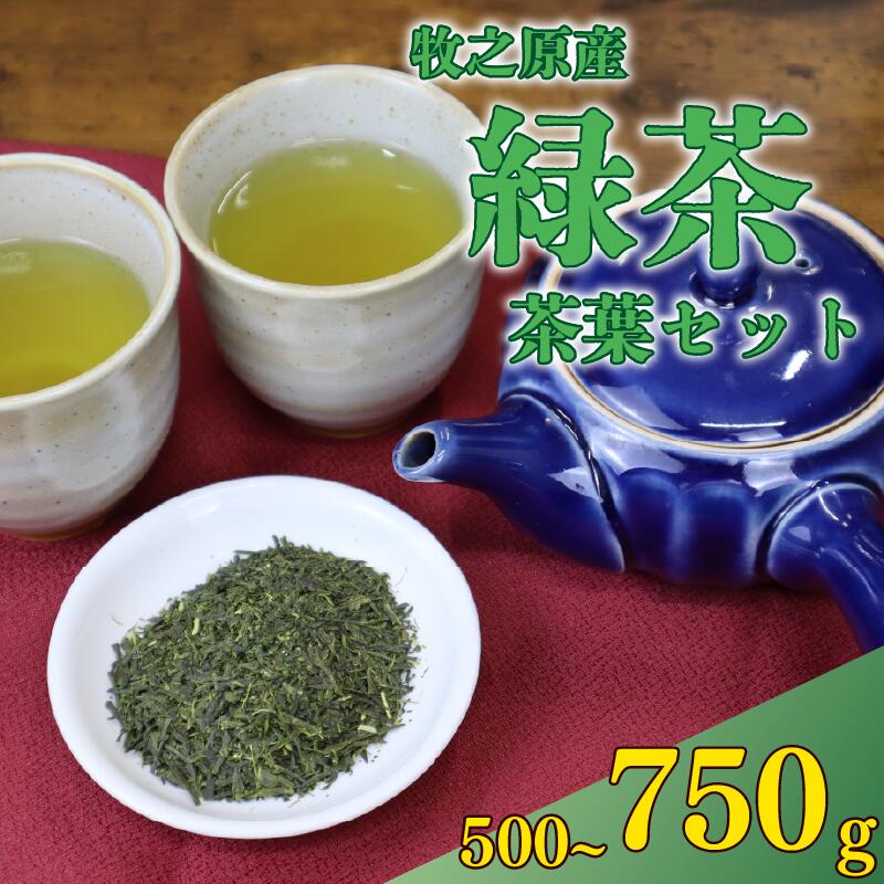【 茶葉 】 500g ~ 750g ( 250g × 2袋/ 250g × 3袋 ) お茶 茶 おちゃ 緑茶 煎茶 飲料 国産 家庭用 ご家庭用 日用品 おいしい 美味しい 日本茶 静岡茶 牧之原茶