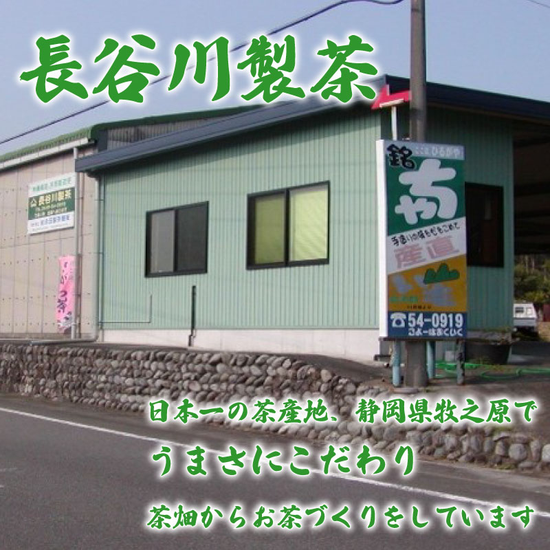 緑茶 ティーバッグ 5g × 50個 2袋  100個 長谷川製茶