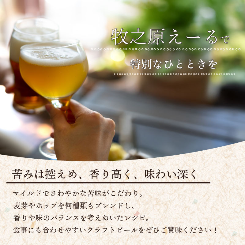 ＼ジャパン グレートビア アワーズ 2025 受賞 ／ 牧之原えーる 定番 3本 セット 330ml × 3本 【ペールエール IPA  ゆずペールエール 】 人気 3種 飲み比べ クラフトビール ビ