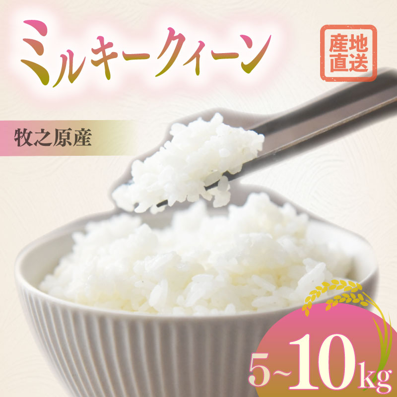 【令和8度産】新米 ミルキークイーン 5kg お米 米 白米 おこめ こめ 精米 ご飯ごはん おいしい 国産 日用品 日常 便利 甘い おこめ 米 お米 白ご飯 ごはん ご飯 お米 5kg 米 ランキ