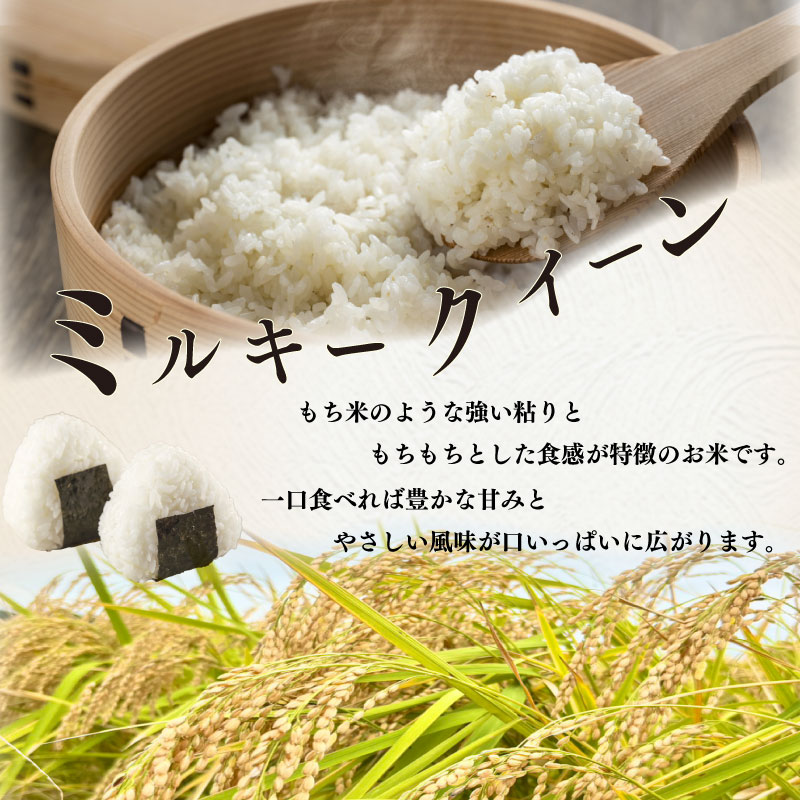 【令和8年度産】新米 ミルキークイーン 10kg お米 米 白米 おこめ こめ 精米 ご飯ごはん おいしい 国産 日用品 日常 便利 おこめ 米 お米 白ご飯 ごはん ご飯 お米 米 ランキング 人気