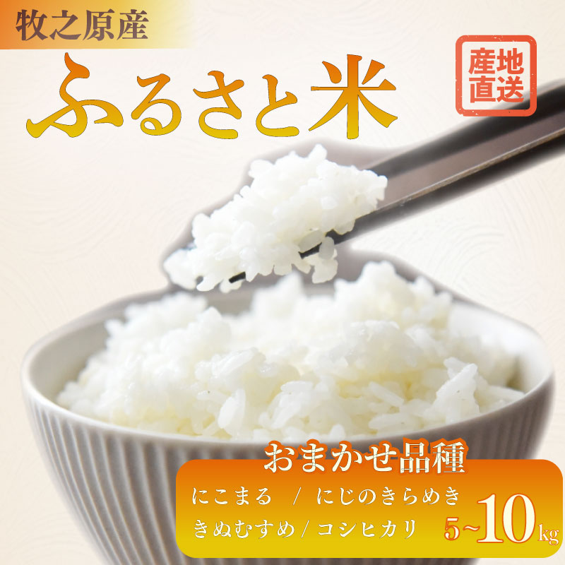令和8年度産 新米 お米 5kg 品種 おまかせ 【 にこまる にじのきらめき きぬむすめ コシヒカリ 】米 白米 おこめ こめ 精米 ご飯 ごはん おいしい 国産 日用品 おこめ 米 白ご飯 ごはん