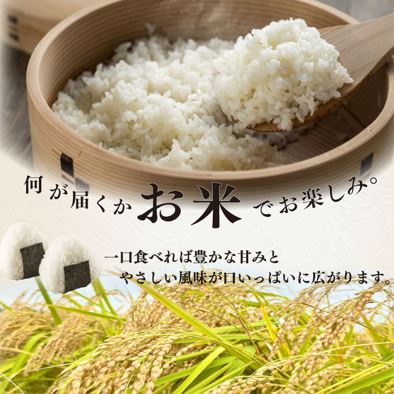 令和8年度産 新米 お米 10kg 品種 おまかせ 【 にこまる にじのきらめき きぬむすめ コシヒカリ 】 お米 米 白米 おこめ こめ 精米 ご飯 ごはん おいしい 国産 日用品 おこめ 米 白ご