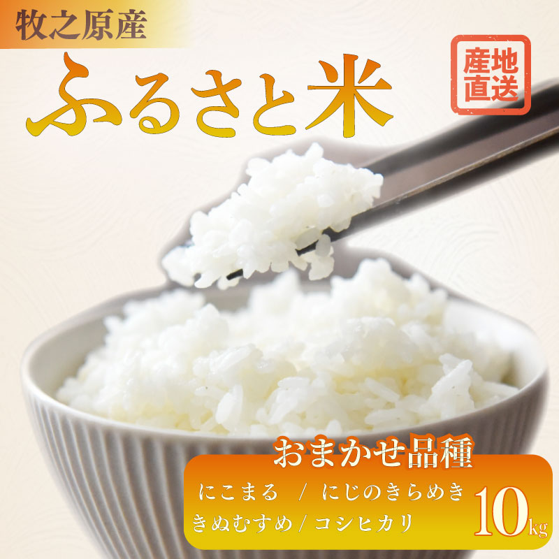 令和8年度産 新米 お米 10kg