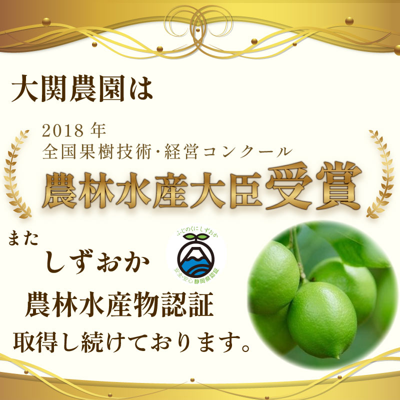 【農林水産大臣賞  予約受付 国産 レモン】選べる 内容量 グリーンレモン 1~3kg れもん 檸檬 Lemon 柑橘類 柑橘 フルーツ 果物 酸っぱい 果肉 酸味 甘み 防腐剤不使用  受賞農園 皮食べ