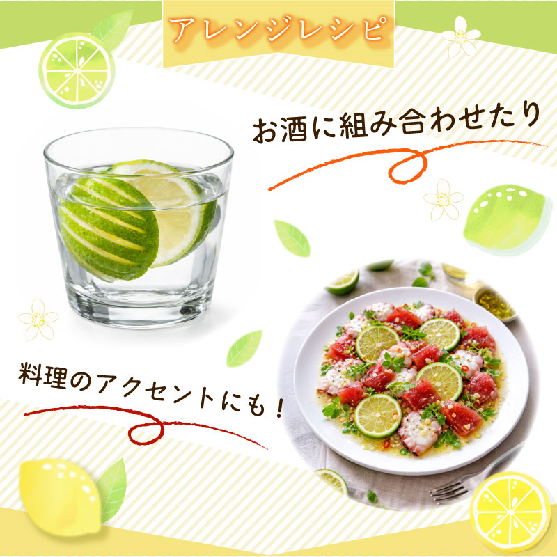 【農林水産大臣賞  予約受付 国産 レモン】選べる 内容量 グリーンレモン 1~3kg れもん 檸檬 Lemon 柑橘類 柑橘 フルーツ 果物 酸っぱい 果肉 酸味 甘み 防腐剤不使用  受賞農園 皮食べ