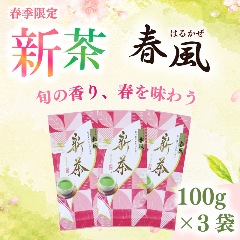 新茶 春風100g×3袋 お茶 静岡 濃旨 緑茶