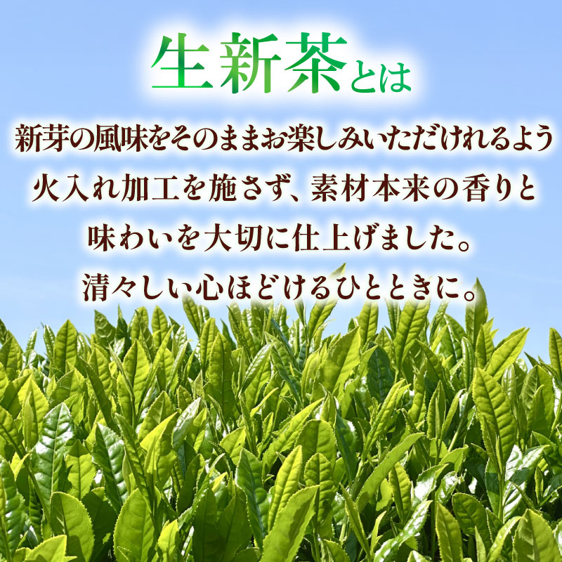 【春季限定】 新茶 青葉100g×3袋 高級 お中元 父の日 お茶 静岡 新茶 濃旨 緑茶 深蒸し茶 深蒸し 茶 水出し緑茶 水出し 静岡茶 飲料 飲み物 ドリンク 深むし茶 煎茶 セット お茶