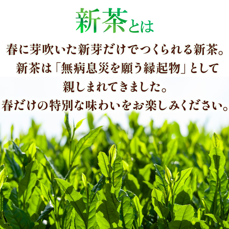 【春季限定】 新茶 青葉 100g×5袋 高級 お中元 父の日 お茶 静岡 新茶 濃旨 緑茶 深蒸し茶 深蒸し 茶 水出し緑茶 水出し 静岡茶  飲料 飲み物 ドリンク 深むし茶 煎茶 セット お茶