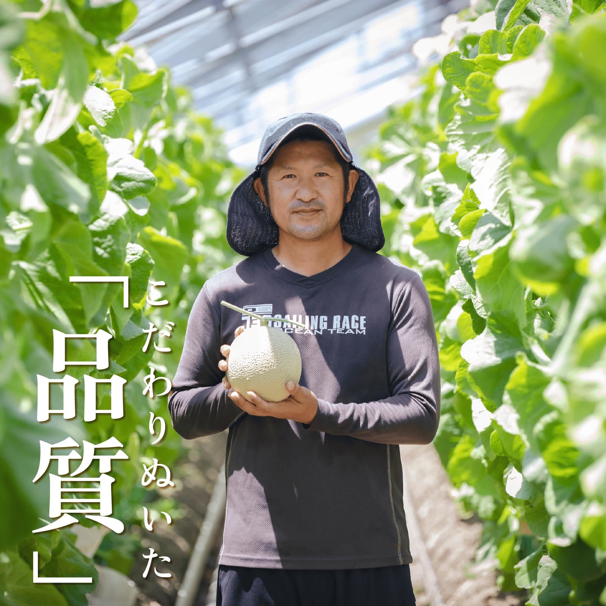 【6ヶ月定期便】 アローマ メロン 1玉 1.3kg以上 × 6回発送 白級 化粧箱 入り 甘い 高級品 ブランド 機能性表示食品 アローマ メロン 果物 めろん フルーツ デザート ふるーつ くだも
