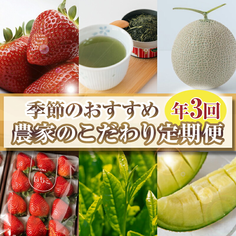 【定期便3回】 定期便 季節のおすすめ 農家のこだわり定期便 年3回 いちご お茶 新茶 メロン アールスメロン 農作物 贅沢 楽しめる 農家 定期便 旬 果物 特産品 季節 産地直送 新鮮 地元