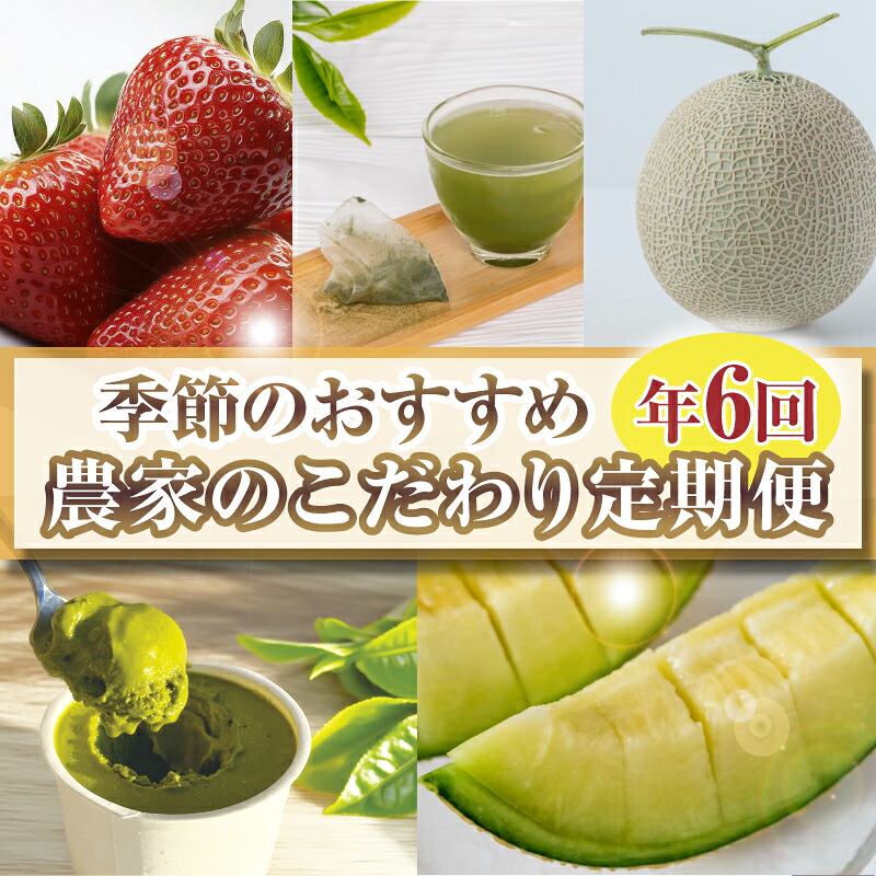 【定期便6回】 定期便 季節のおすすめ 農家のこだわり定期便 年6回 いちご お茶 新茶 メロン アールスメロン 農作物 贅沢 楽しめる 農家 定期便 旬 果物 特産品 季節 産地直送 新鮮 地元