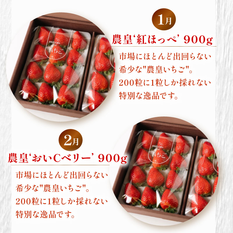 【定期便12回】 定期便 季節のおすすめ 農家のこだわり定期便 年12回 いちご お茶 新茶 メロン アールスメロン 農作物 贅沢 楽しめる 農家 定期便 旬 果物 特産品 季節 産地直送 新鮮 地元