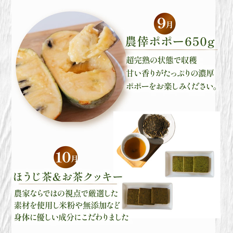 【定期便12回】 定期便 季節のおすすめ 農家のこだわり定期便 年12回 いちご お茶 新茶 メロン アールスメロン 農作物 贅沢 楽しめる 農家 定期便 旬 果物 特産品 季節 産地直送 新鮮 地元
