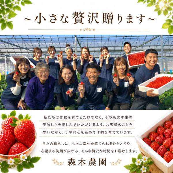 【冷凍 いちご】 苺 3kg以上 完熟 きらぴ香 ヘタ取り いちご 静岡 限定 苺 冷凍いちご イチゴ 果物 スイーツ いちご きらぴ香 きらぴか 冷凍イチゴ 牧之原市 デザート フルーツ スイーツ