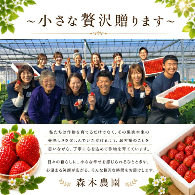 冷凍 いちご 苺 2kg以上 完熟 おいCベリー ヘタ取り いちご 静岡 限定 苺 冷凍イチゴ 冷凍いちご おいしいべりー おいしいベリー ベリー おいCベリー デザート フルーツ スイーツ アイス
