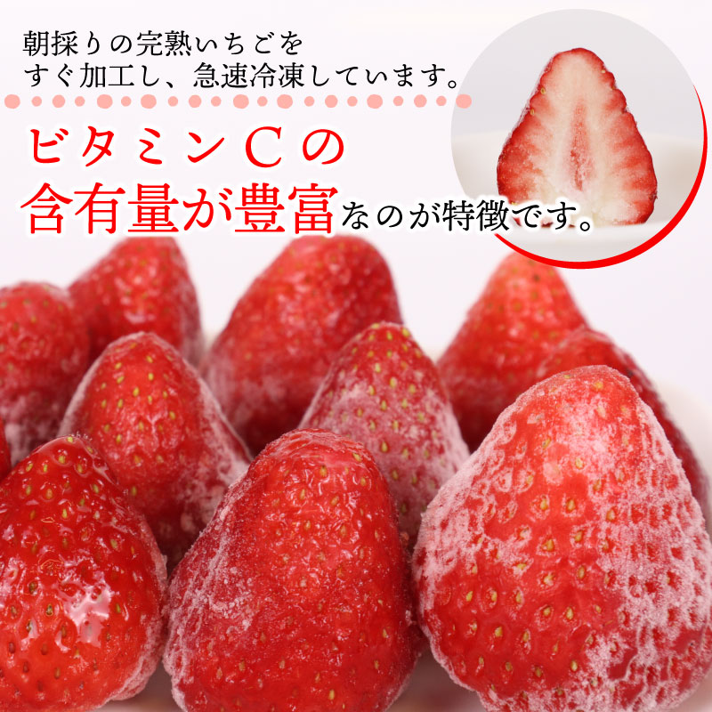 冷凍 いちご 苺 3kg 完熟 おいCベリー ヘタ取り いちご 静岡 限定 苺 冷凍いちご 冷凍イチゴ 冷凍苺 果物 スイーツ いちご 牧之原市 デザート フルーツ スイーツ アイス ジャム シャーベ