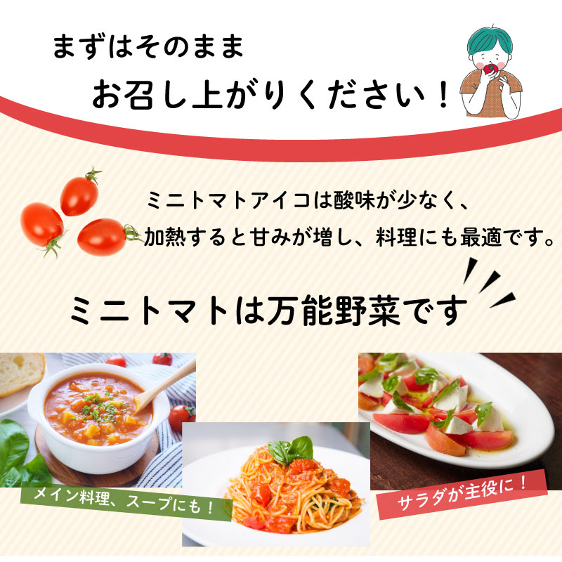 【先行予約】 松下農園 の ミニトマトアイコ 2.1kg 2026年 12月初旬 から 発送予定 ミニトマト アイコ とまと トマト みにとまとあいこ 甘み 夏 新鮮 野菜 完熟 サラダ 松下農園