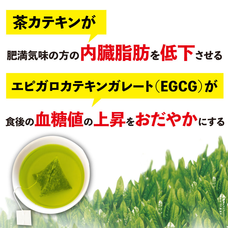 お茶 荒畑園 機能性表示食品 食事の相棒 2g×15包 ×6袋セット 約1ヵ月分 緑茶 粉末 茶 茶 食品 茶 おちゃ お茶 ちゃ HOT 静岡お茶 牧之原茶 牧之原市 静岡県