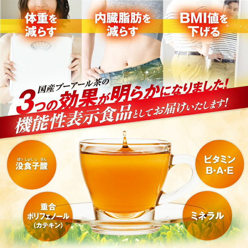 【定期便3か月】国産プーアール茶 SARYU-SOSO(5g×10ティーバッグ)×3回 機能性表示食品 お茶 茶 おちゃ 飲料 飲みもの のみもの プーアル 香り 日本 産地直送 人気 おすすめ 日常