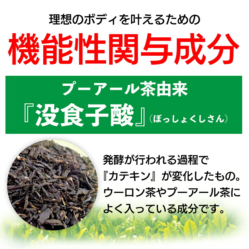 【定期便3か月】国産プーアール茶 SARYU-SOSO(5g×10ティーバッグ)×3回 機能性表示食品 お茶 茶 おちゃ 飲料 飲みもの のみもの プーアル 香り 日本 産地直送 人気 おすすめ 日常