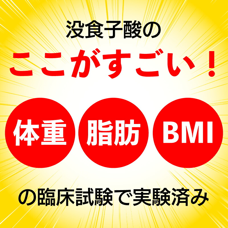 【定期便5か月】国産プーアール茶 SARYU-SOSO(5g×10ティーバッグ)×5回 機能性表示食品 お茶 茶 おちゃ 飲料 飲みもの のみもの プーアル 香り 日本 産地直送 人気 おすすめ 日常