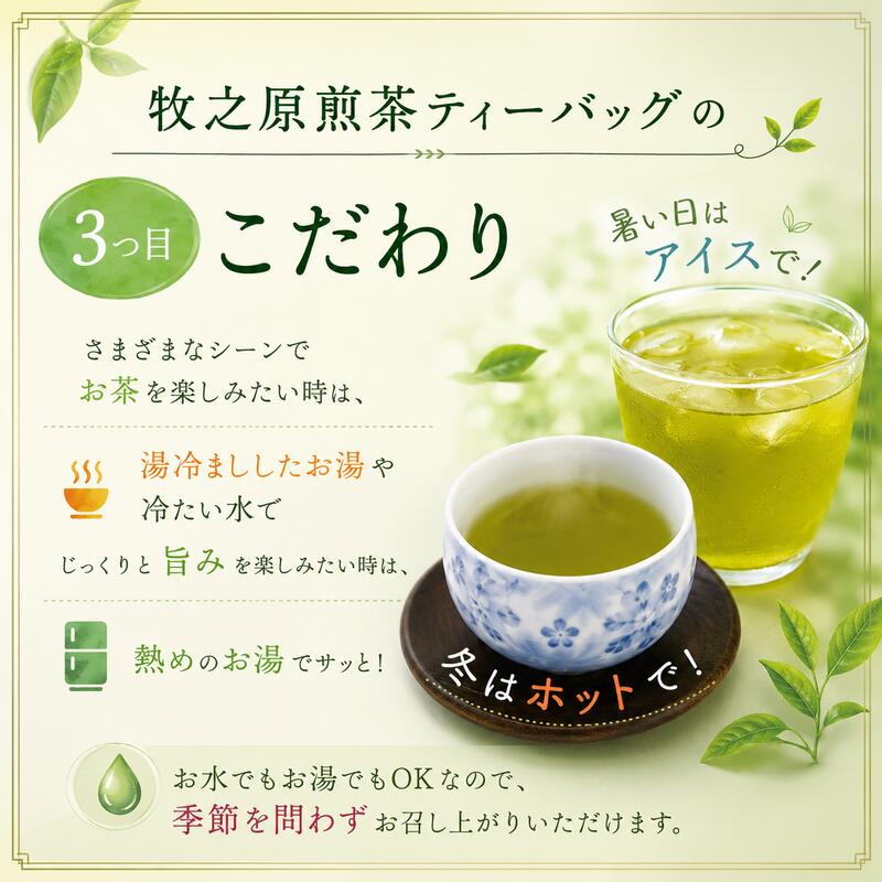 深蒸し茶 ティーバッグ 10袋 セット 深蒸し 深むし 深むし茶 ティー お茶 茶 本格的 美味しい おいしい 美味い オススメ おすすめ 日本茶 静岡茶 牧之原茶 静岡県産 牧之原産 緑茶 おちゃ