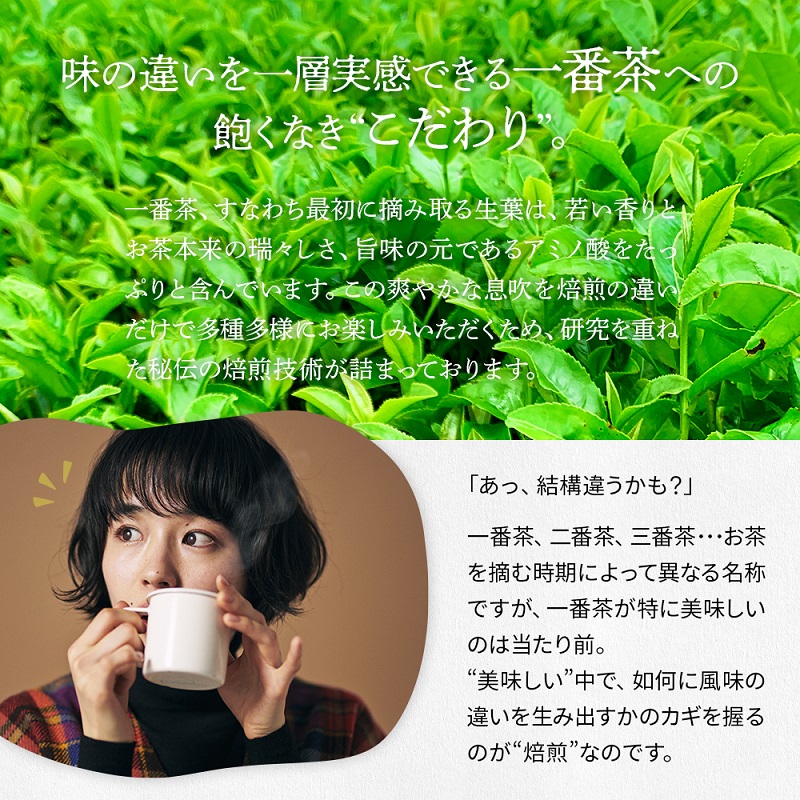 日本茶入門アソートセット摘み取り日くらべ＆焙煎くらべ 丸新柴本製茶