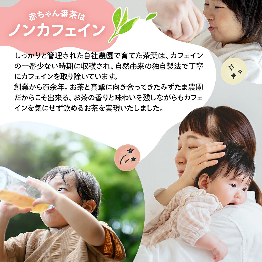 番茶 緑茶 ティーバッグ 5g×50パック 1袋 ノンカフェイン 国産 太陽さんさん赤ちゃん番茶 お茶 茶 丸新柴本製茶 静岡県 牧之原市