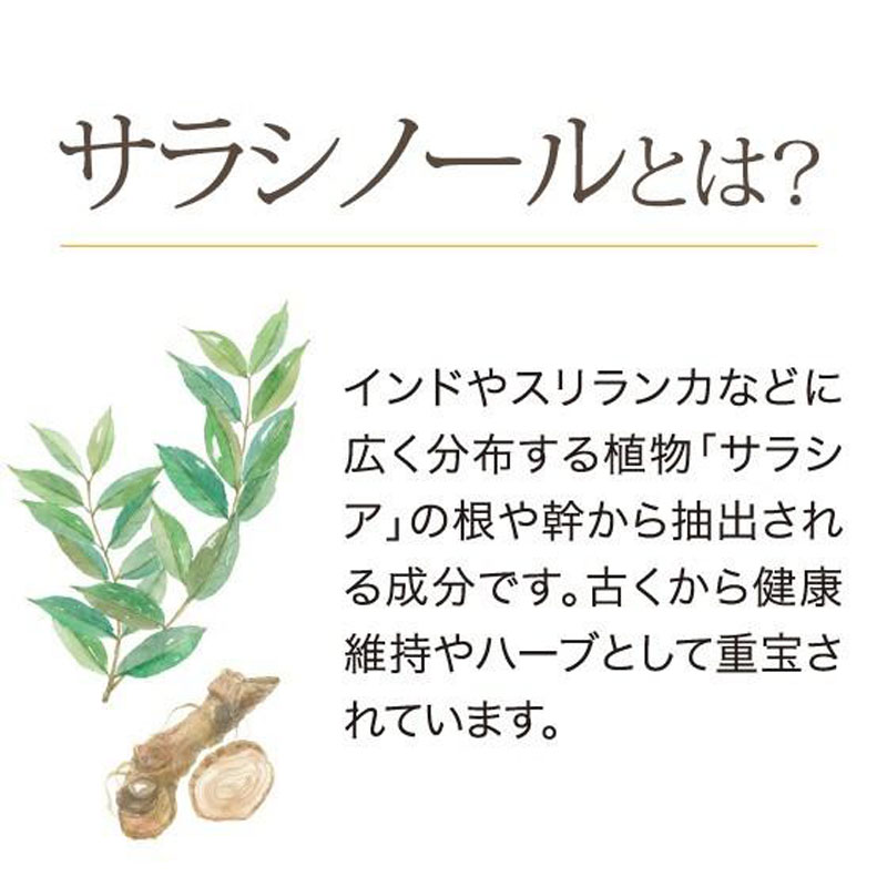 お茶の荒畑園　サラシア入りのほうじ茶ティーパック（3ｇ×30包）×2袋セット　〈機能性表示食品〉荒畑園 牧之原市