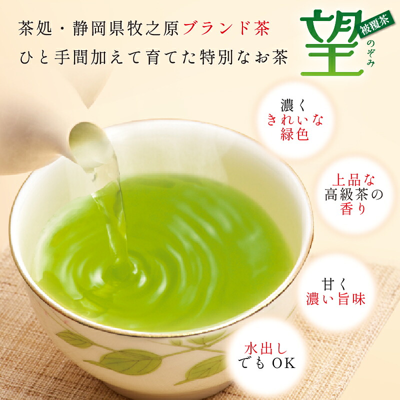 048-80 静岡牧之原市ブランド茶 望 金印 ティーパック(5g×8包)5袋