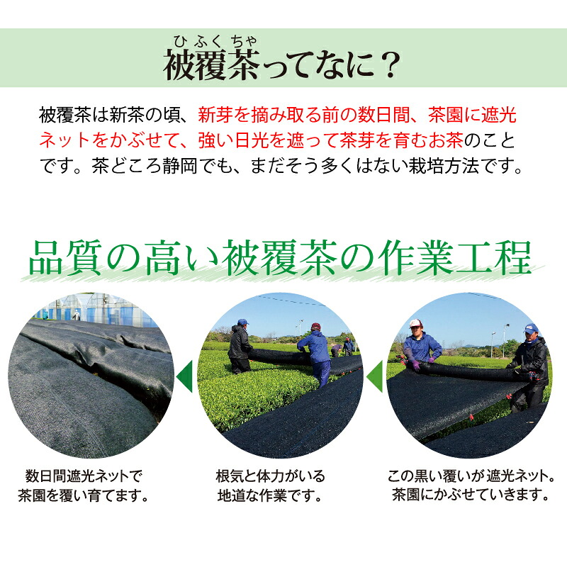 静岡牧之原市ブランド茶 望 銀印 100g 4袋 【緑茶】荒畑園 静岡県 牧之原市