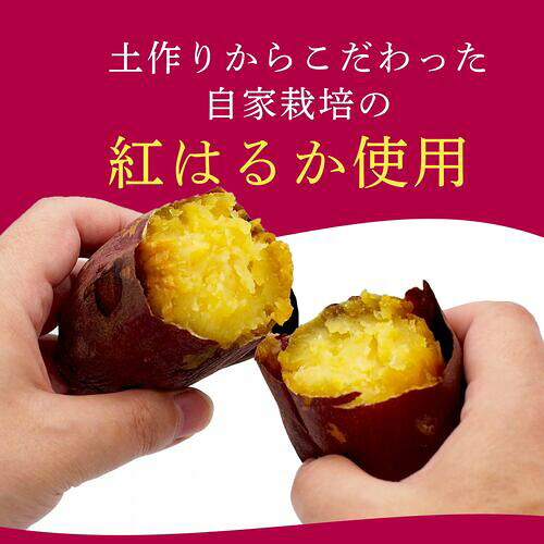 【12月中旬より順次発送】 国産 紅はるか 干し芋 160g × 3 ~ 6袋 さつまいも スイーツ 和菓子 干しいも サツマイモ 芋 ほしいも 自然食品 美味しい おいしい おすすめ オススメ お