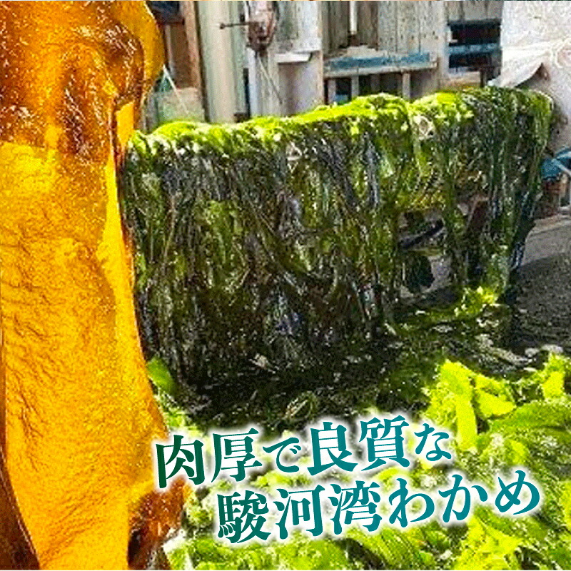 わかめ 佃煮 5個 セット 駿河湾 海藻 海産物 海鮮 魚介 ワカメ 若布 若芽 ご飯のお供 わかめの佃煮 国産 ご飯に合う おいしい 美味しい おすすめ オススメ 常温 家庭用 ご家庭用 日用品 八木康
