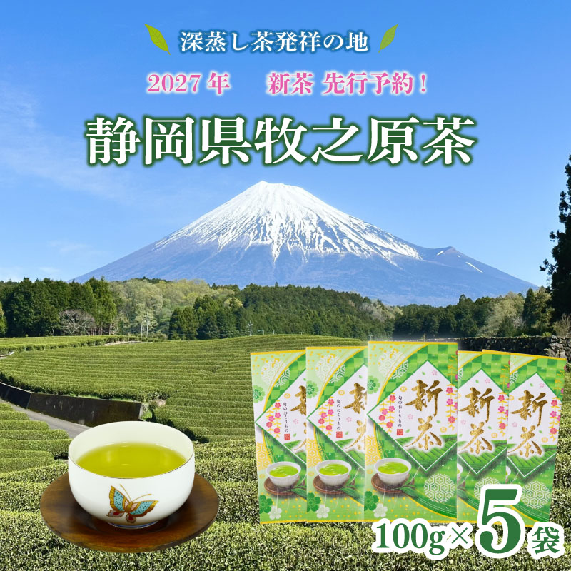 【先行予約】2027年度産 新茶 100g×5本 お茶 静岡 新茶 濃旨 緑茶 深蒸し茶 深蒸し 茶 水出し緑茶 水出し 静岡茶 日本茶 飲料 飲み物 ドリンク 深むし茶 煎茶 セット お茶 茶 深蒸