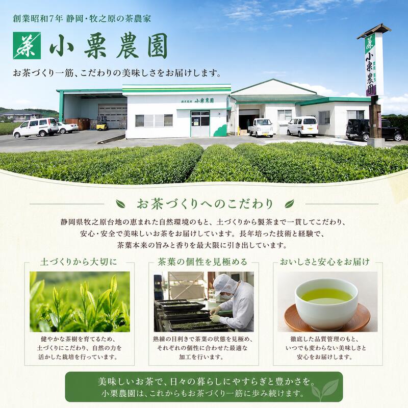 【お茶 3袋】 煎茶ティーバッグ  5ｇ×50ヶ 3袋 HOT&ICE  静岡 上品 ティーバック ティーパック 濃旨 緑茶 深蒸し茶 深蒸し 茶 水出し緑茶 水出し 静岡茶 日本茶 飲料 飲み物 ド
