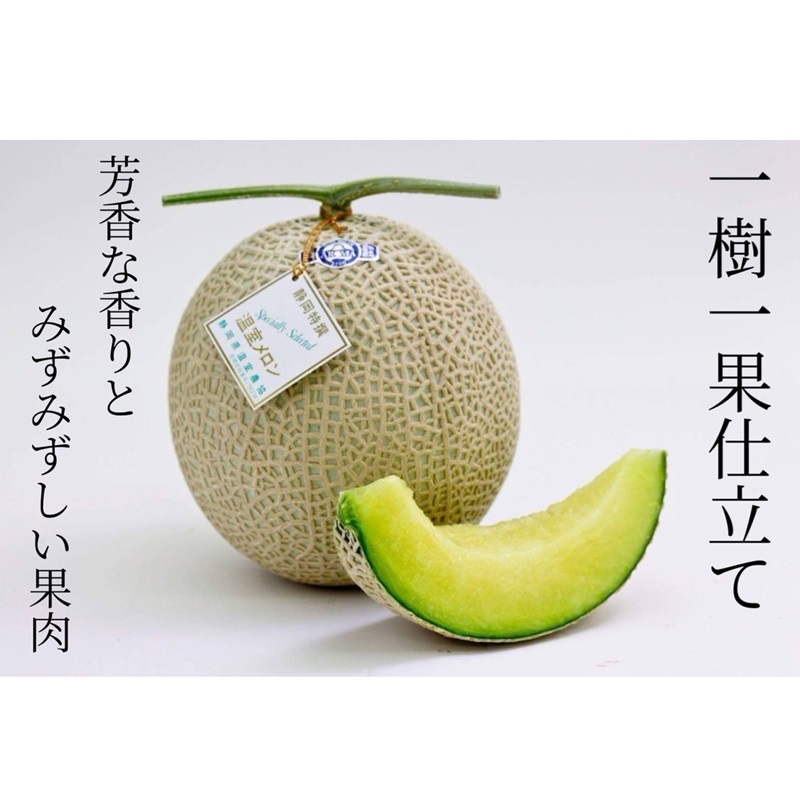 アローマメロン 1玉 1.4～1.8kg 白 静岡 美味しい おいしさ 甘さ 糖度 香り 食べ頃 フルーツ 果物 くだもの 品種 贈答用 プレゼント メロン ギフト 人気 果物 おすすめ スイーツ デ