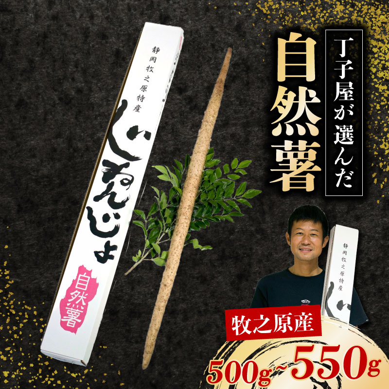 【R8年12月上旬からの発送】 丁子屋が選んだ 自然薯 台地のご馳走 500 g ～3kg 新鮮  長寿 とろろ とろろご飯 ごはん ご飯 山芋 やまいも 国産 産地直送 農家直送 自宅用 家庭用