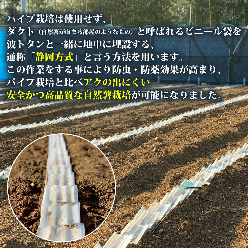 【R8年12月上旬からの発送】 丁子屋が選んだ 自然薯 台地のご馳走 500 g ～3kg 新鮮  長寿 とろろ とろろご飯 ごはん ご飯 山芋 やまいも 国産 産地直送 農家直送 自宅用 家庭用