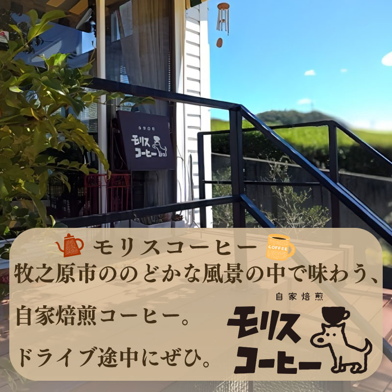 モリスコーヒー 自家焙煎 スペシャルティー オリジナル ブレンド コーヒー豆  100g × 5袋 計500g ブレンド ブレンドコーヒー 中細挽き 深煎り 浅煎り アウトドア キャンプ あっさり