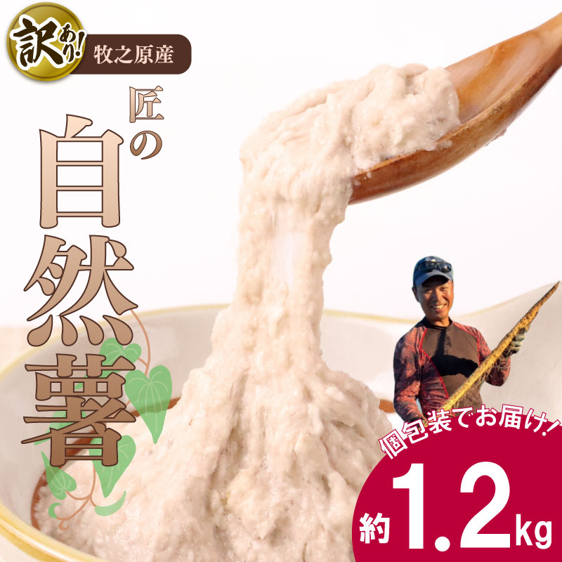 【自然薯 訳あり】 約 1.2kg 訳アリ じねんじょ ひげ根 処理済み 洗ってすぐに食べられる！ 山芋 ヤマイモ 山いも とろろ とろろ汁 国産 滋養強壮 とろろご飯 たくみファーム 牧之原市
