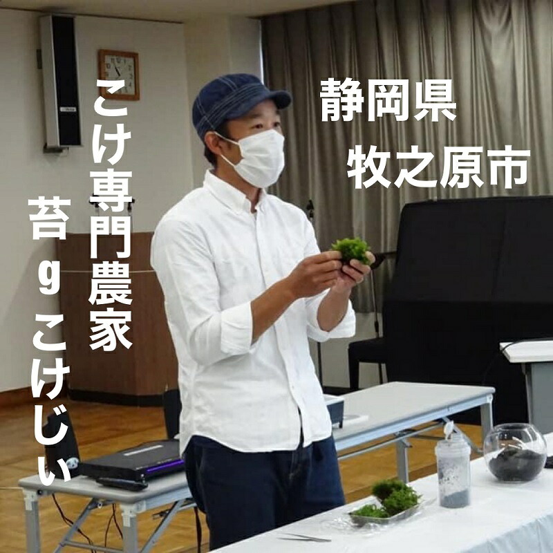 苔 テラリウム スターターキット  作り方 キット 初心者向け ギフト 手造り 趣味 子ども 癒やし こけ庭 苔庭 コケ庭 庭園 苔玉 コケ玉 インテリア インテリアグリーン 観葉植物 牧之原市