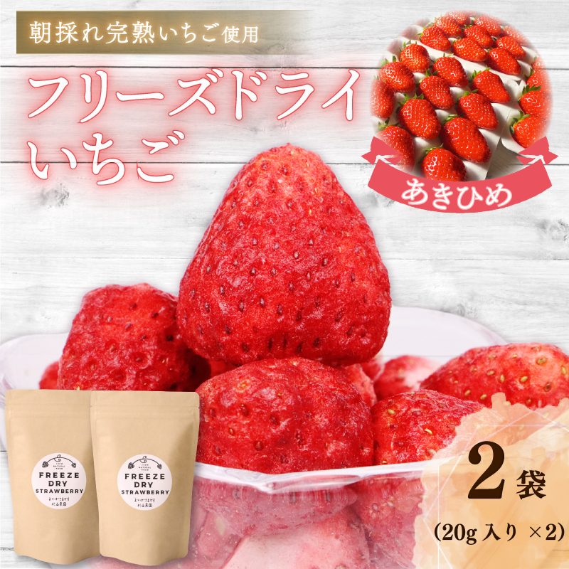 【いちご】おかげさまです杉山農園のフリーズドライイチゴ　40g 朝摘み ドライ いちご ドライフルーツ 果物 いちご イチゴ 苺 フルーツ くだもの スイーツ デザート ストロベリー おやつ 完熟 直